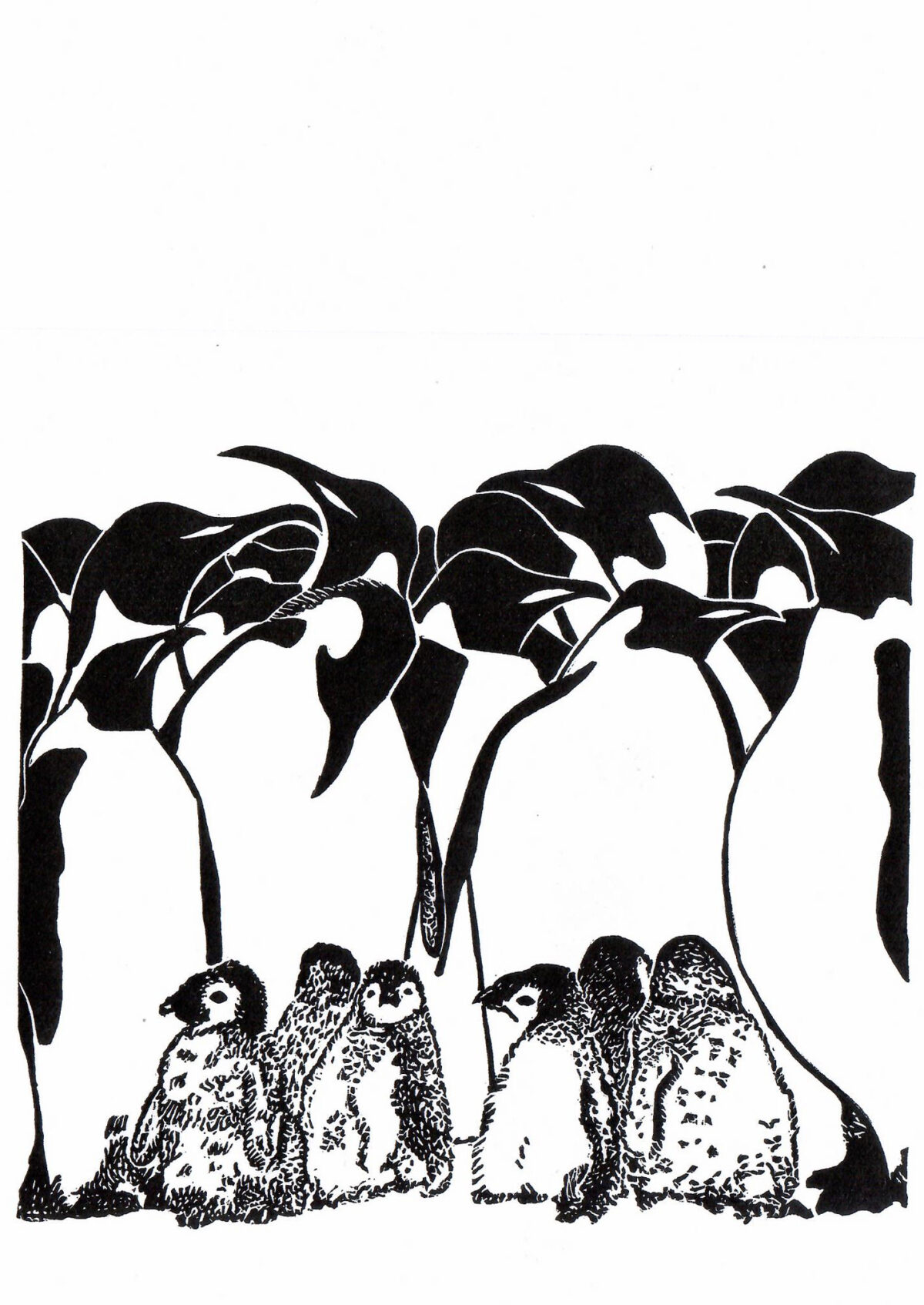 A Waddle of Penguins